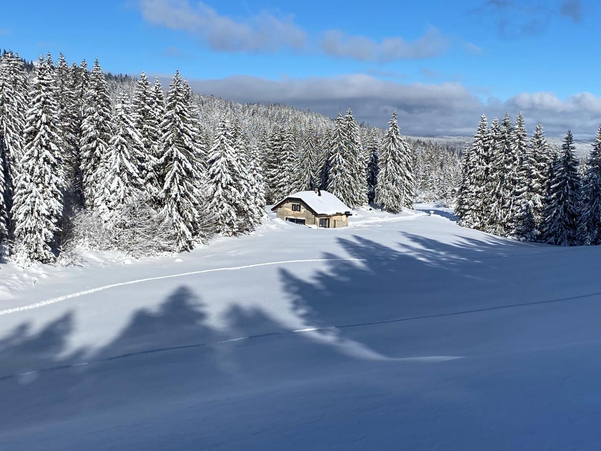 La Loge De La Dolarde - Chambre Nord-Est Hotel Prémanon Buitenkant foto